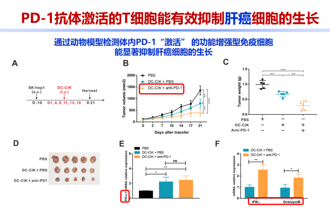 微信图片_202012070828445.png