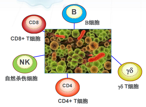 微信截图_20211103184608.png