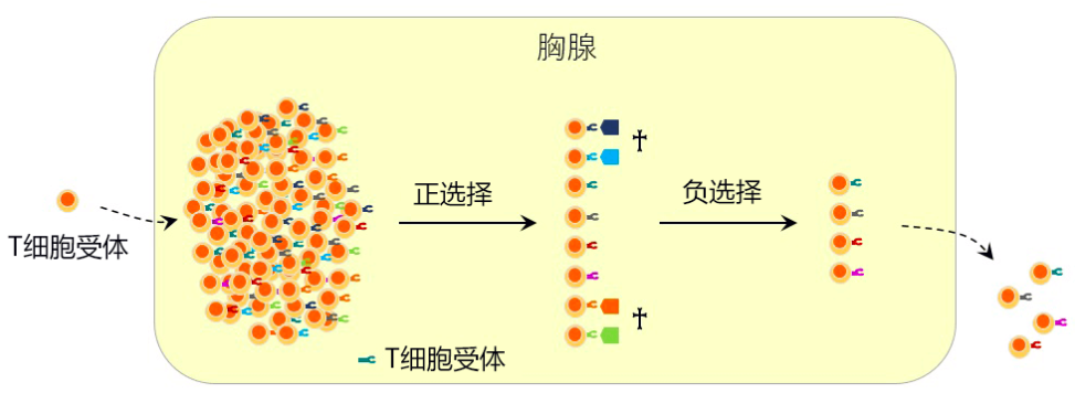 微信截图_20211224124604.png